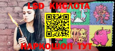 гидра Гатчина