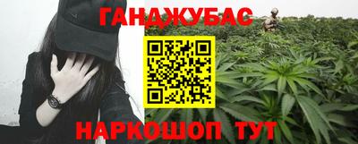 гидра Гатчина