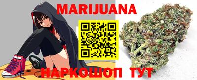 гидра Гатчина