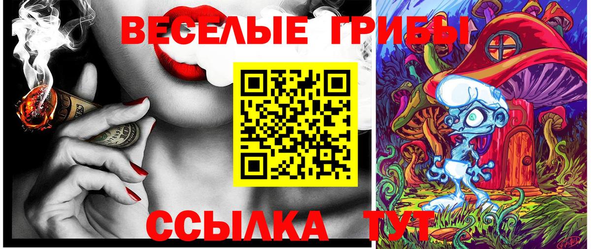 Псилоцибиновые грибы Cubensis  Вход с VPN  Грязи 