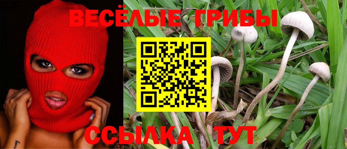 Галлюциногенные грибы ЛСД Грязи